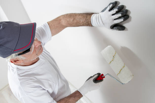 Best Attic Mold Removal  in Monticello, LA