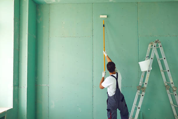Mold Documentation for Insurance Claims in Monticello, LA