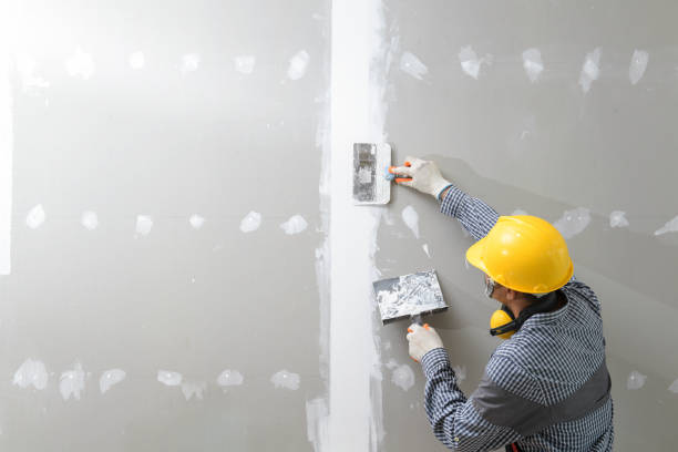 Best Crawl Space Mold Remediation  in Monticello, LA