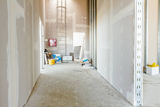 Best Mold Prevention Services  in Monticello, LA