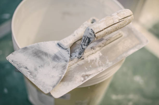 Best Airborne Mold Testing  in Monticello, LA